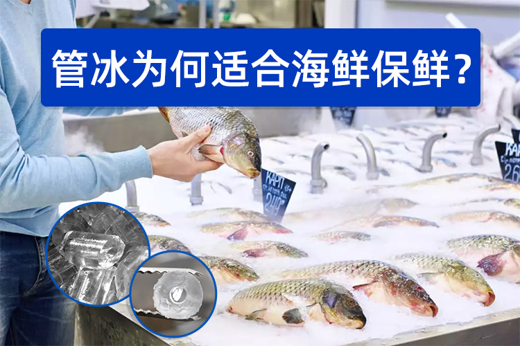 管冰為何如此適合海鮮保鮮？